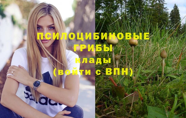 MESCALINE Горно-Алтайск