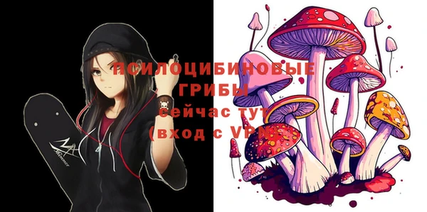 мет Горнозаводск