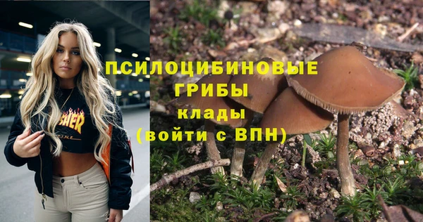 мет Горнозаводск