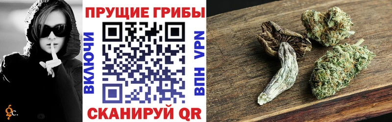 ссылка на мегу как войти  Ува  Галлюциногенные грибы Cubensis 